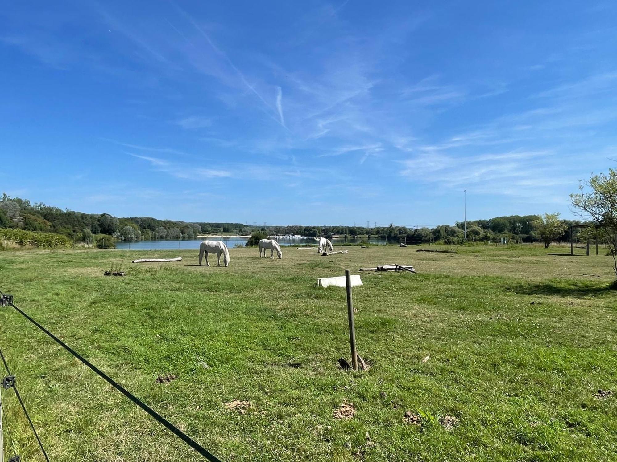 Chambre Climatisee, Entre Paris Disneyland, Au Coeur Des Jeux Olympiques Canoe-Kayak, Vaires-sur-Marne Exterior foto